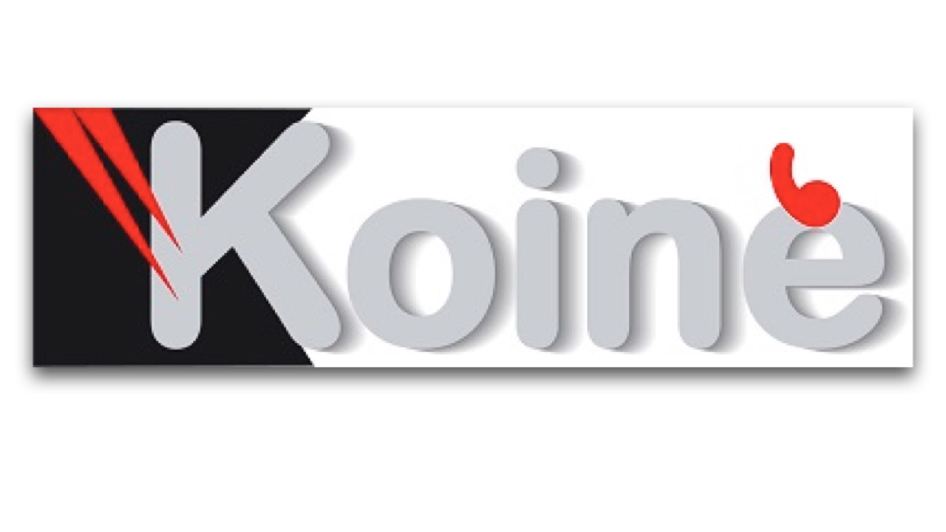 Logo Koine Italia s.n.c.